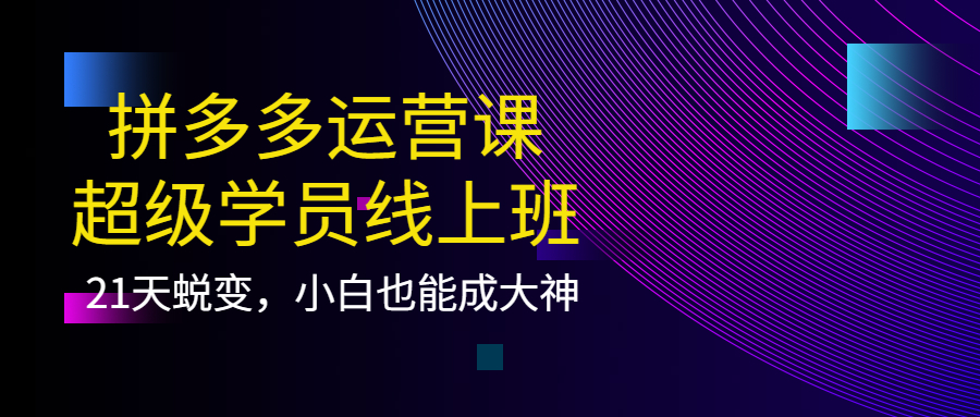 拼多多运营课：超级学员线上班，21天蜕变，小白也能成大神汇创项目库-网创项目资源站-副业项目-创业项目-搞钱项目汇创项目库