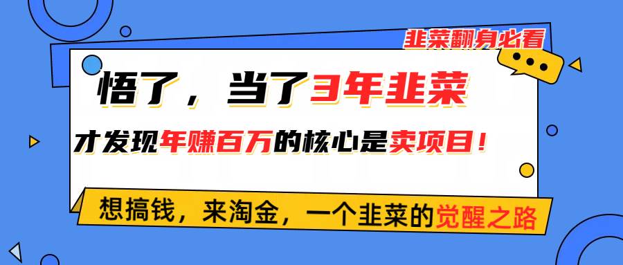 悟了，当了3年韭菜，才发现网赚圈年赚100万的核心是卖项目，含泪分享！汇创项目库-网创项目资源站-副业项目-创业项目-搞钱项目汇创项目库
