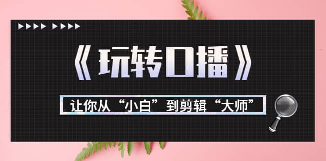 月营业额700万+大佬教您《玩转口播》让你从“小白”到剪辑“大师”汇创项目库-网创项目资源站-副业项目-创业项目-搞钱项目汇创项目库