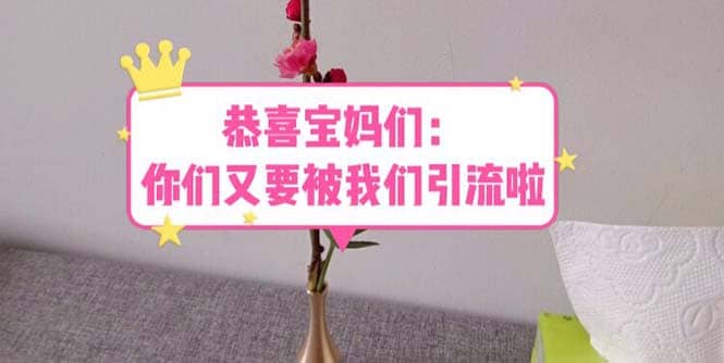 恭喜宝妈们：你们又要被我们引流了（教程+222g资料）汇创项目库-网创项目资源站-副业项目-创业项目-搞钱项目汇创项目库