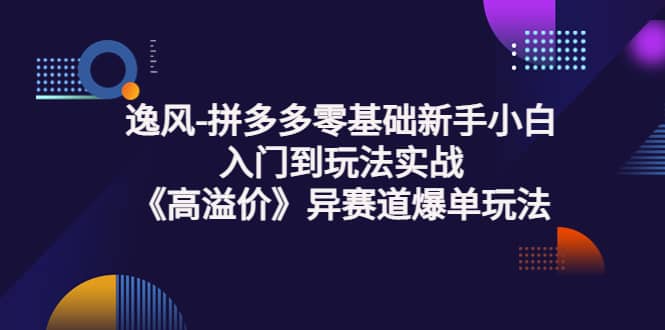 拼多多零基础新手小白入门到玩法实战《高溢价》异赛道爆单玩法实操课汇创项目库-网创项目资源站-副业项目-创业项目-搞钱项目汇创项目库