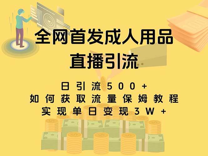 最新全网独创首发，成人用品直播引流获客暴力玩法，单日变现3w保姆级教程汇创项目库-网创项目资源站-副业项目-创业项目-搞钱项目汇创项目库