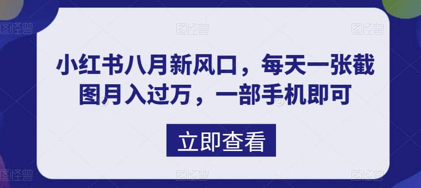 八月新风口，小红书虚拟项目一天收入1000+，实战揭秘汇创项目库-网创项目资源站-副业项目-创业项目-搞钱项目汇创项目库