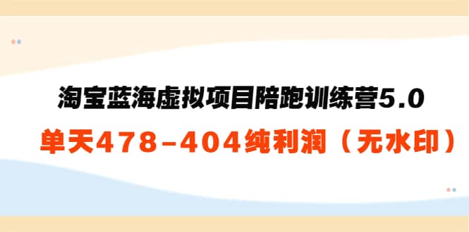 淘宝蓝海虚拟项目陪跑训练营5.0：单天478纯利润（无水印）汇创项目库-网创项目资源站-副业项目-创业项目-搞钱项目汇创项目库