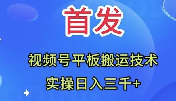 全网首发：视频号平板搬运技术，实操日入三千＋汇创项目库-网创项目资源站-副业项目-创业项目-搞钱项目汇创项目库