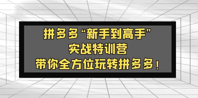 拼多多“新手到高手”实战特训营：带你全方位玩转拼多多汇创项目库-网创项目资源站-副业项目-创业项目-搞钱项目汇创项目库