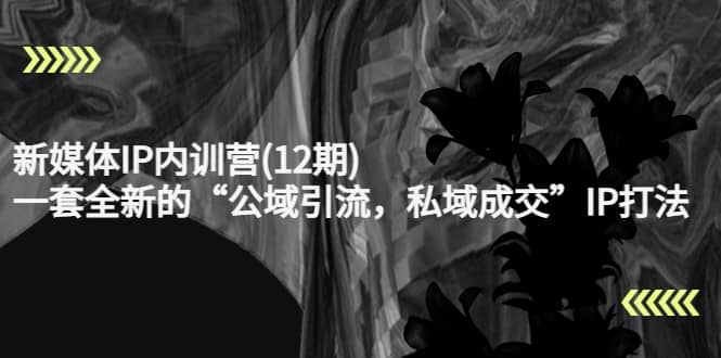 新媒体IP内训营(12期)，一套全新的“公域引流，私域成交”IP打法，直接带走汇创项目库-网创项目资源站-副业项目-创业项目-搞钱项目汇创项目库