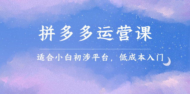 拼多多运营课，适合小白初涉平台，低成本入门汇创项目库-网创项目资源站-副业项目-创业项目-搞钱项目汇创项目库