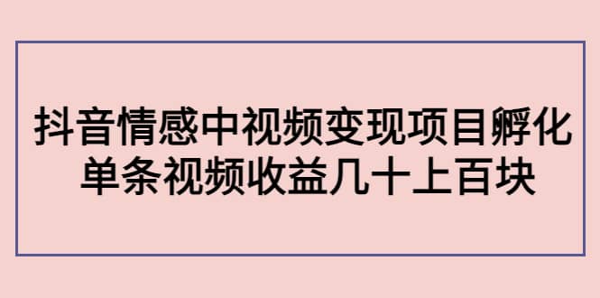 抖音情感中视频变现项目孵化汇创项目库-网创项目资源站-副业项目-创业项目-搞钱项目汇创项目库
