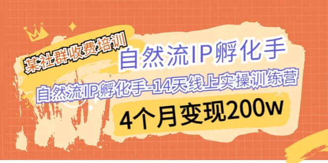 某社群收费培训：自然流IP 孵化手-14天线上实操训练营 4个月变现200w汇创项目库-网创项目资源站-副业项目-创业项目-搞钱项目汇创项目库