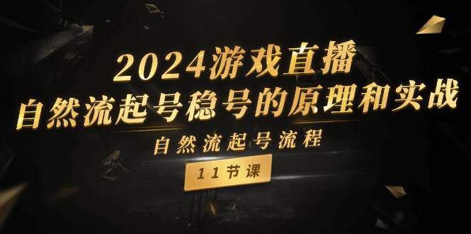 2024游戏直播-自然流起号稳号的原理和实战，自然流起号流程（11节）汇创项目库-网创项目资源站-副业项目-创业项目-搞钱项目汇创项目库