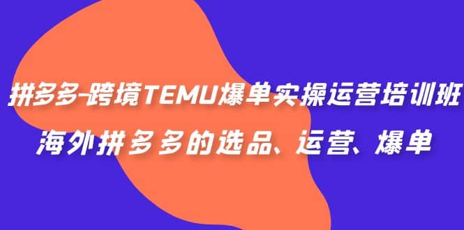拼多多-跨境TEMU爆单实操运营培训班，海外拼多多的选品、运营、爆单汇创项目库-网创项目资源站-副业项目-创业项目-搞钱项目汇创项目库
