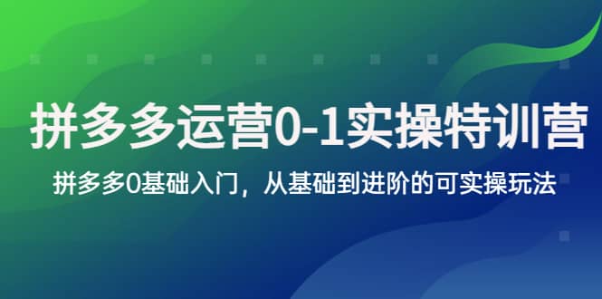 拼多多-运营0-1实操训练营，拼多多0基础入门，从基础到进阶的可实操玩法汇创项目库-网创项目资源站-副业项目-创业项目-搞钱项目汇创项目库