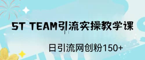 ST TEAM引流实操课，日引流网创粉100+汇创项目库-网创项目资源站-副业项目-创业项目-搞钱项目汇创项目库