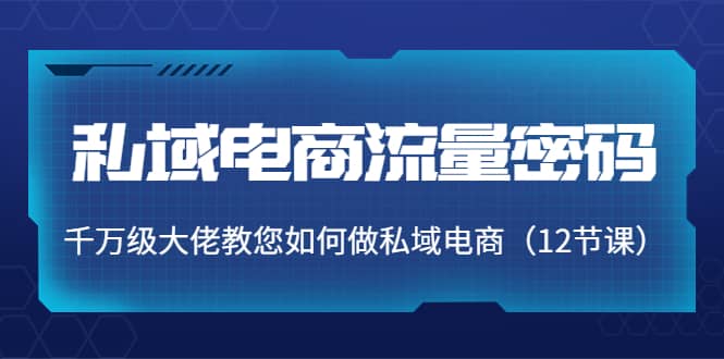 私域电商流量密码：千万级大佬教您如何做私域电商（12节课）汇创项目库-网创项目资源站-副业项目-创业项目-搞钱项目汇创项目库