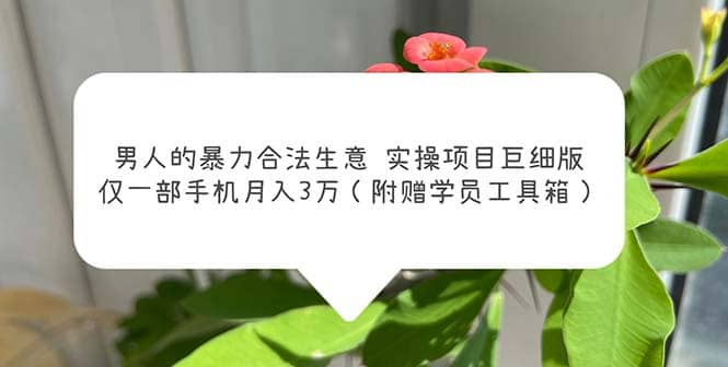 男人的暴力合法生意实操项目巨细版：仅一部手机月入3w（附赠学员工具箱）汇创项目库-网创项目资源站-副业项目-创业项目-搞钱项目汇创项目库