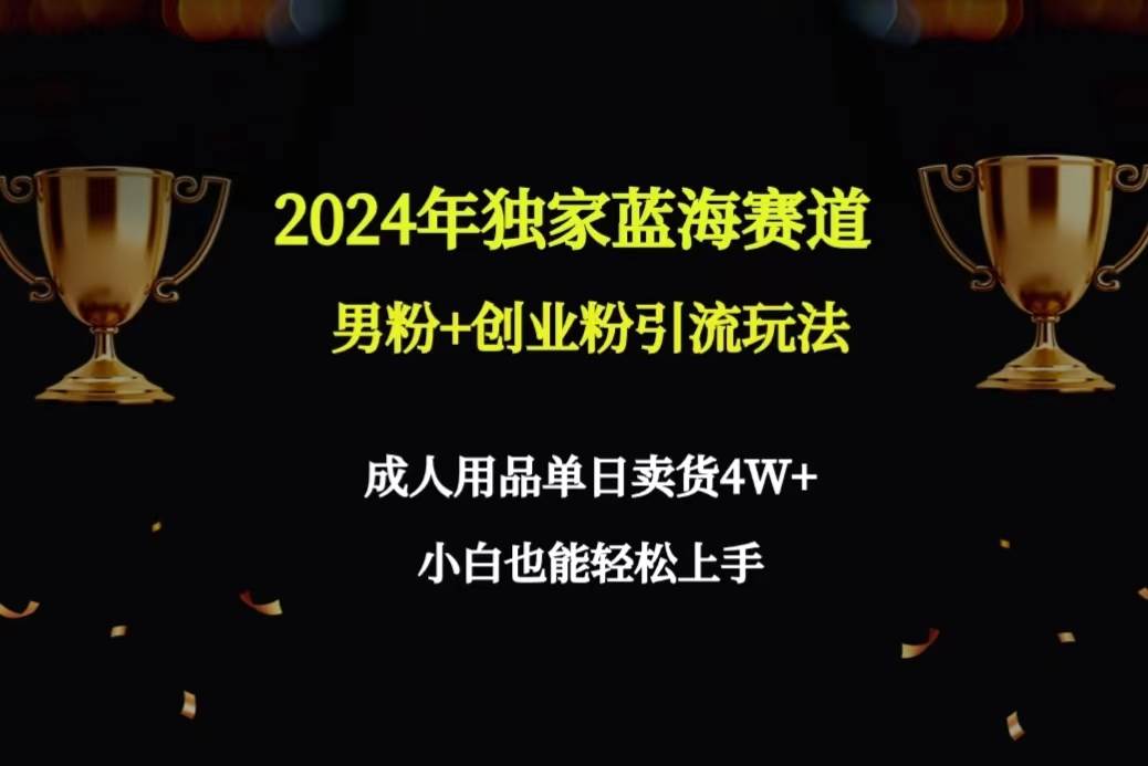 2024年独家蓝海赛道男粉+创业粉引流玩法，成人用品单日卖货4W+保姆教程汇创项目库-网创项目资源站-副业项目-创业项目-搞钱项目汇创项目库