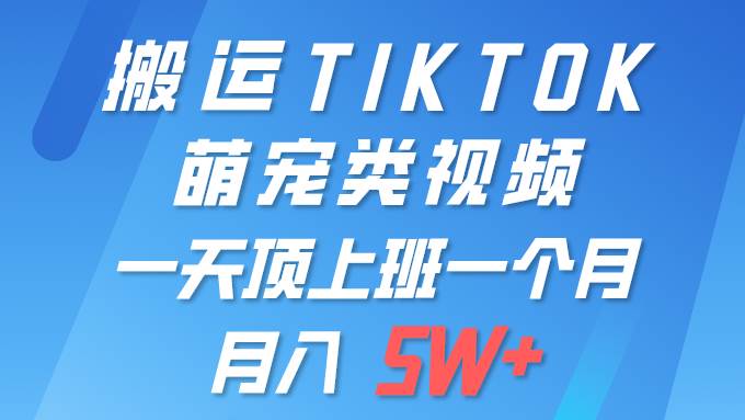 一键搬运TIKTOK萌宠类视频 一部手机即可操作 所有平台均可发布 轻松月入5W+汇创项目库-网创项目资源站-副业项目-创业项目-搞钱项目汇创项目库