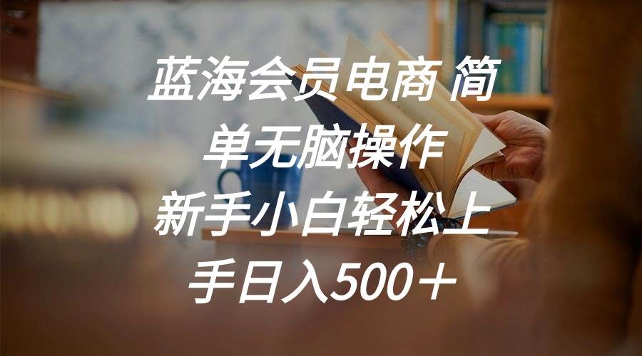 蓝海会员电商 简单无脑操作 新手小白轻松上手日入500＋汇创项目库-网创项目资源站-副业项目-创业项目-搞钱项目汇创项目库