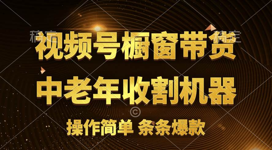 [你的孩子成功取得高位]视频号最火爆赛道，橱窗带货，流量分成计划，条…汇创项目库-网创项目资源站-副业项目-创业项目-搞钱项目汇创项目库