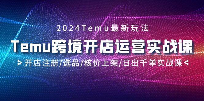 2024Temu跨境开店运营实战课，开店注册/选品/核价上架/日出千单实战课汇创项目库-网创项目资源站-副业项目-创业项目-搞钱项目汇创项目库