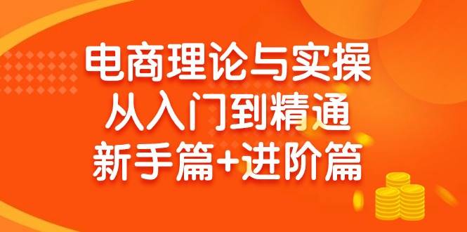 电商理论与实操从入门到精通 新手篇+进阶篇汇创项目库-网创项目资源站-副业项目-创业项目-搞钱项目汇创项目库
