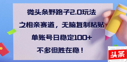 全网首发微头条野路子2.0玩法之相亲赛道，无脑搬砖复制粘贴，单账号日稳定300+保姆级教程汇创项目库-网创项目资源站-副业项目-创业项目-搞钱项目汇创项目库
