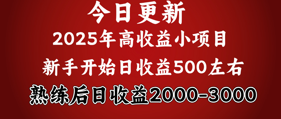 2025开年好项目，新手日收益500+ 熟练掌握后，日收益平均2000多汇创项目库-网创项目资源站-副业项目-创业项目-搞钱项目汇创项目库