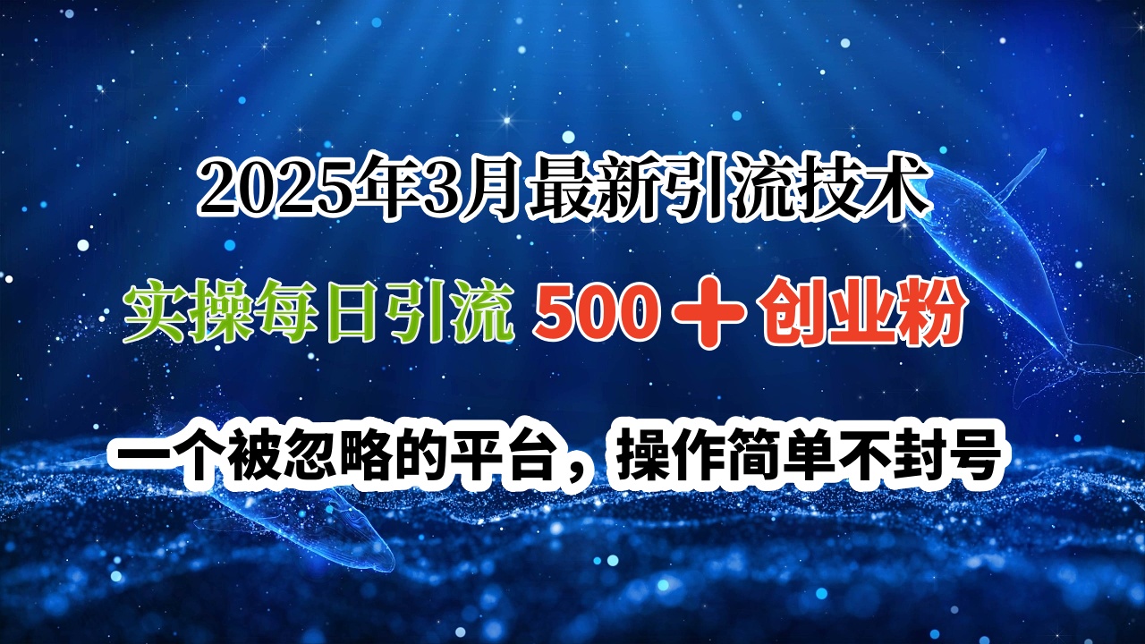 2025年3月最新引流技术，实操每日引流500➕创业粉，一个被忽略的平台，操作简单不封号汇创项目库-网创项目资源站-副业项目-创业项目-搞钱项目汇创项目库