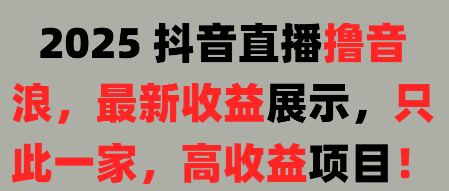 2025 抖音直播撸音浪，最新收益展示，只此一家，高收益项目！汇创项目库-网创项目资源站-副业项目-创业项目-搞钱项目汇创项目库