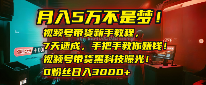 月入5万不是梦！视频号带货新手教程，7天速成，手把手教你赚钱！视频号带货黑科技曝光！0粉丝日入3000+汇创项目库-网创项目资源站-副业项目-创业项目-搞钱项目汇创项目库