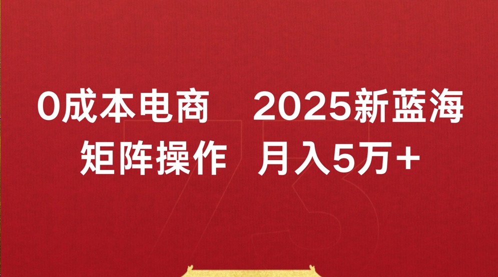 0成本电商2025新蓝海矩阵操作 月入5万+汇创项目库-网创项目资源站-副业项目-创业项目-搞钱项目汇创项目库