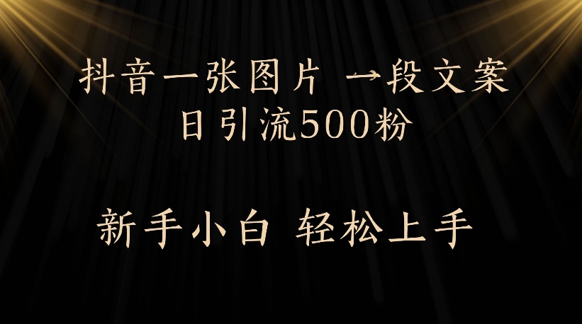 抖音一张图片，一段文案日引流500粉，新手小白 轻松上手汇创项目库-网创项目资源站-副业项目-创业项目-搞钱项目汇创项目库