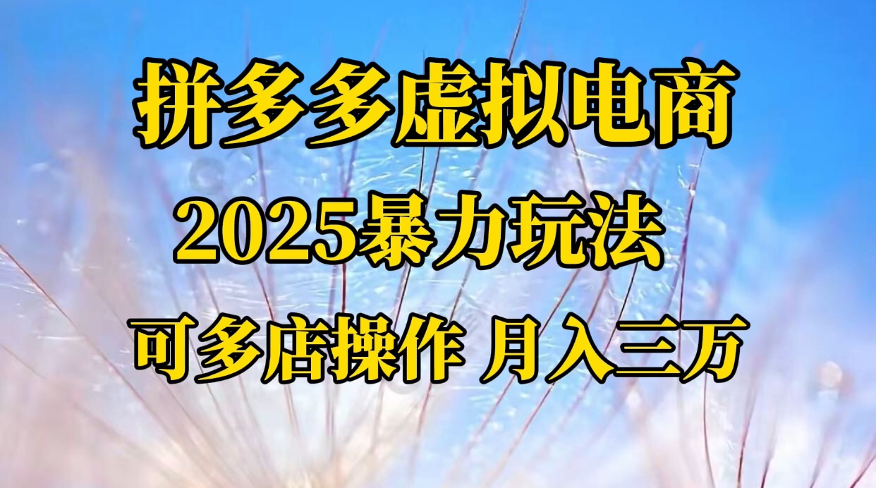 拼多多虚拟电商，不囤货不垫资的虚拟电商汇创项目库-网创项目资源站-副业项目-创业项目-搞钱项目汇创项目库